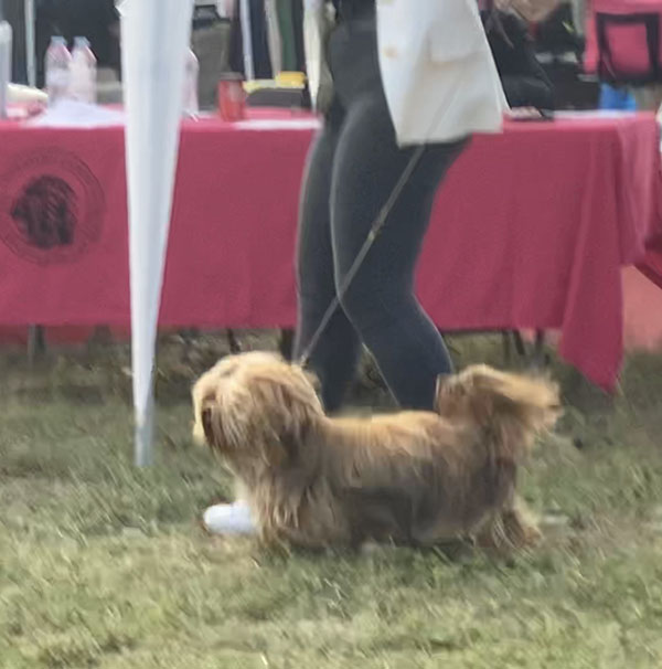 Ajika Mano Gentis durante una jornada de exposición