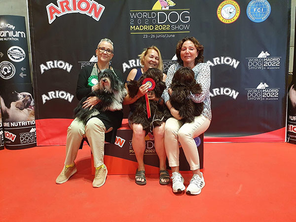 Luba en exposición canina